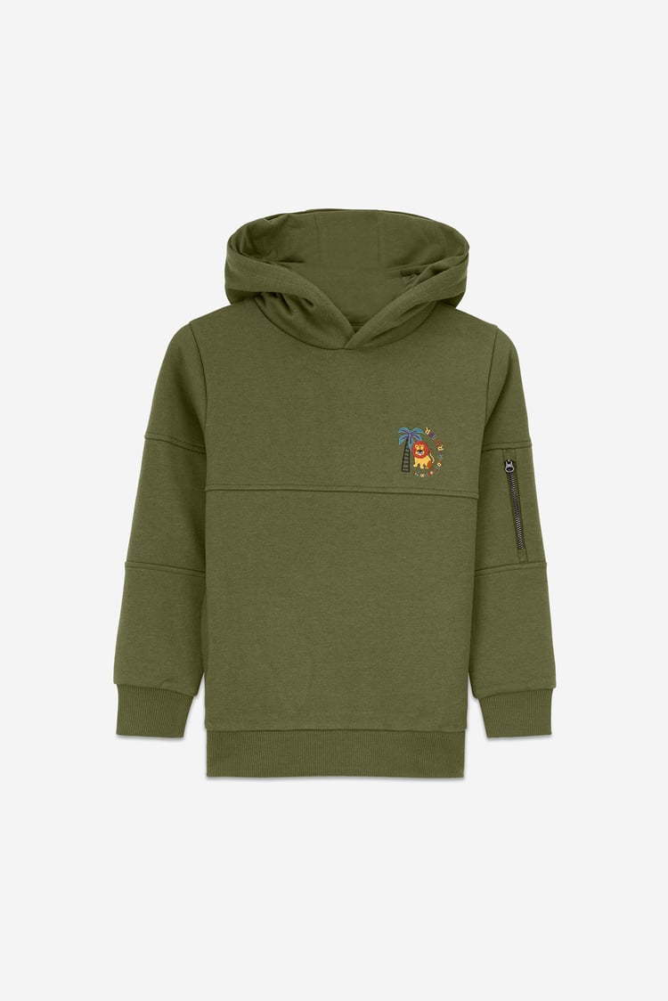 Boys  Embrodiery Print Hoodie  ( 6yrs-11yrs)