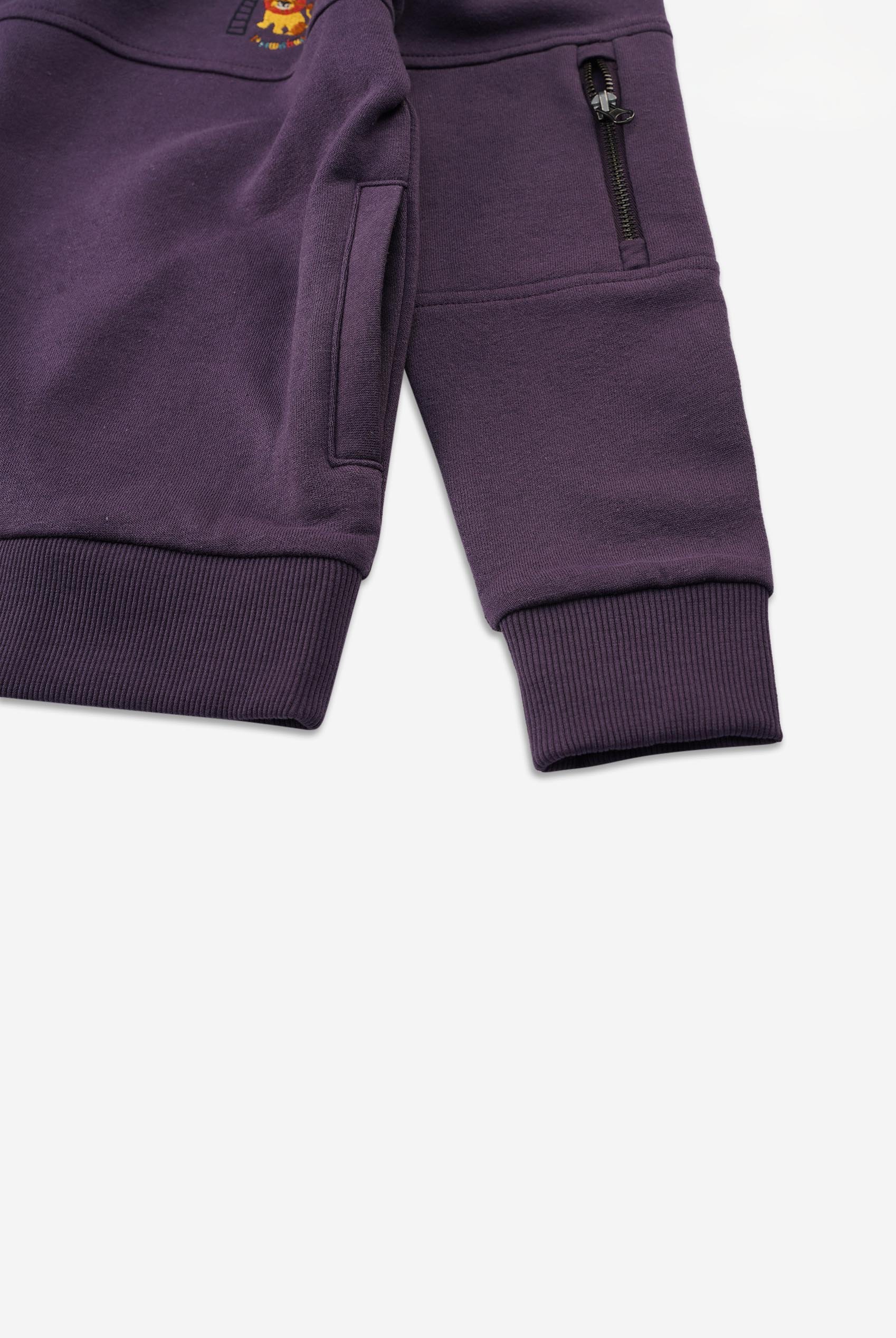 Boys  Embrodiery Print Hoodie  ( 6yrs-11yrs)