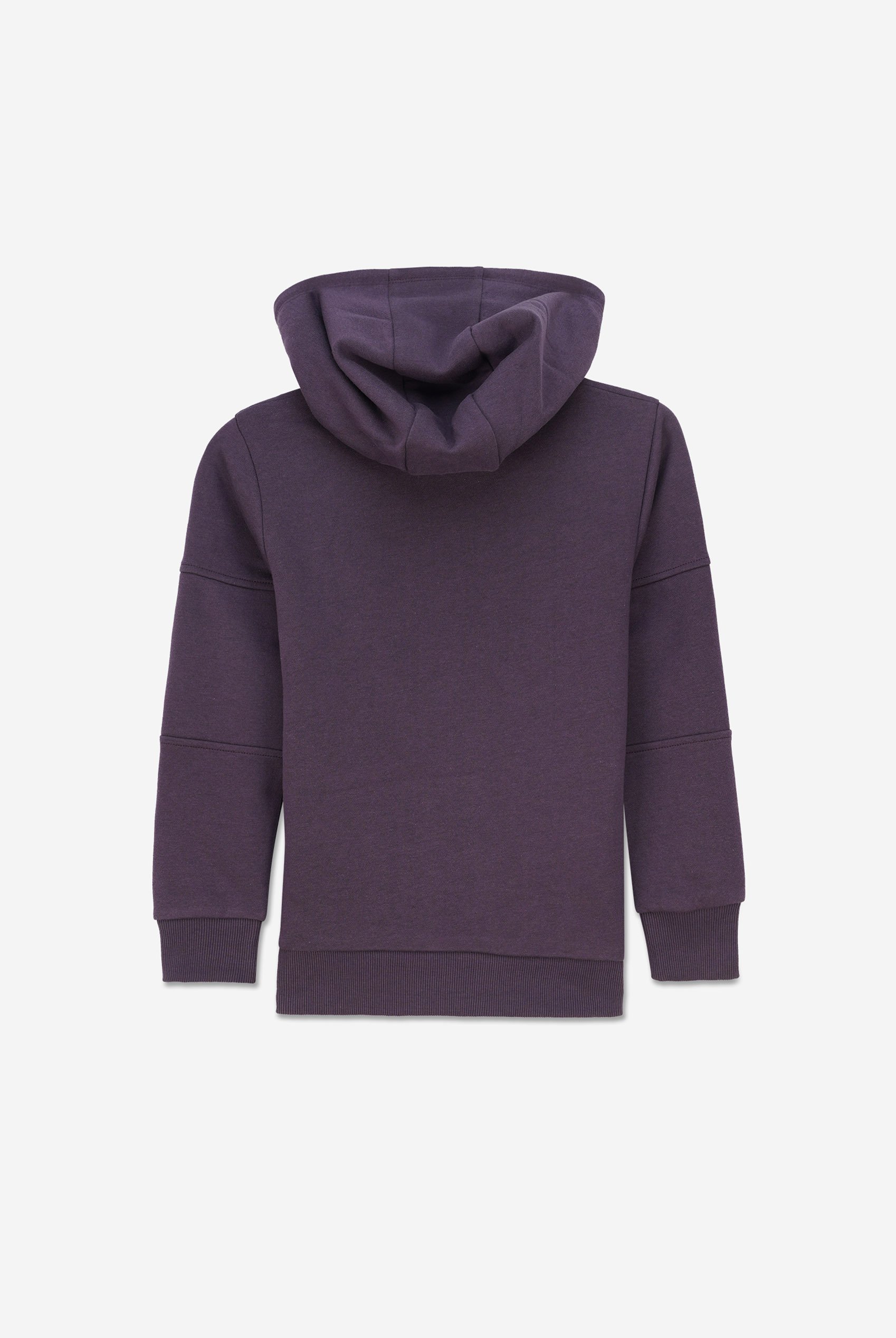 Boys  Embrodiery Print Hoodie  ( 6yrs-11yrs)