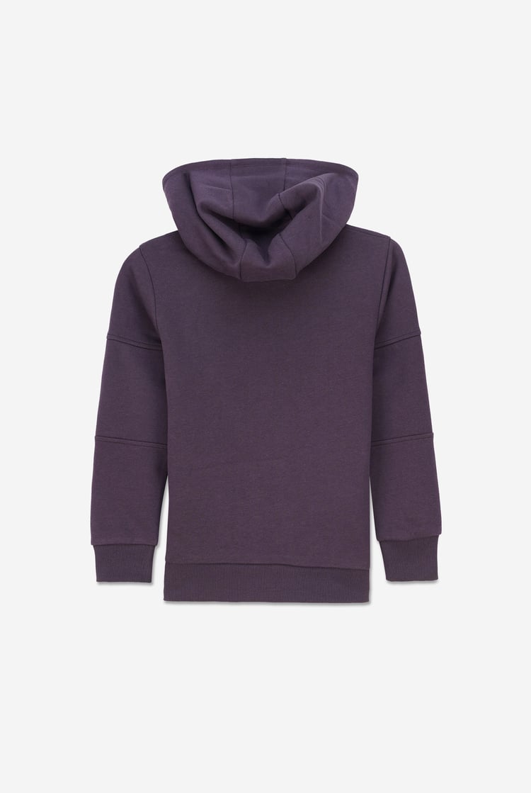 Boys  Embrodiery Print Hoodie  ( 6yrs-11yrs)