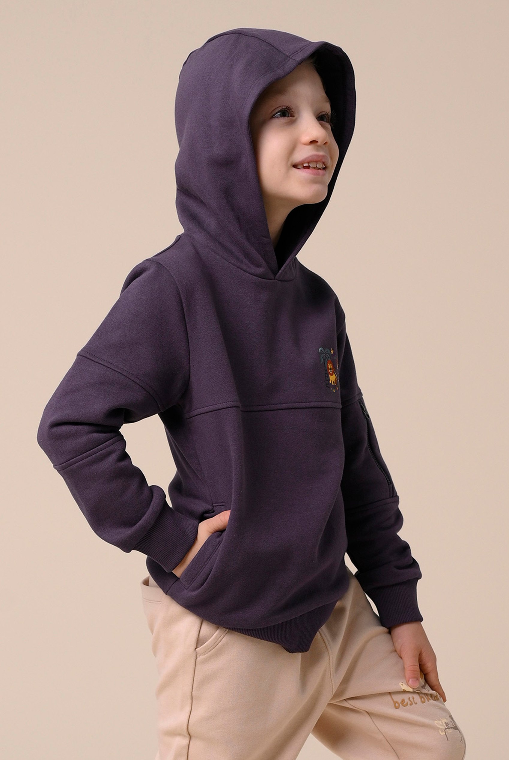 Boys  Embrodiery Print Hoodie  ( 6yrs-11yrs)