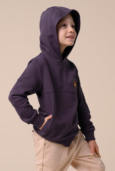 Boys Brown  Embrodiery Print Hoodie  ( 6yrs-11yrs)