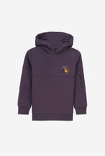 Boys  Embrodiery Print Hoodie  ( 6yrs-11yrs)