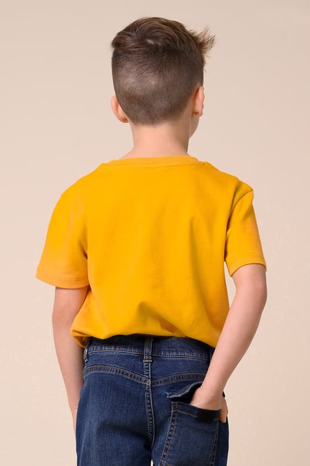 Boys Yellow Falls Flyers T-Shirt ( 3yrs-9yrs)