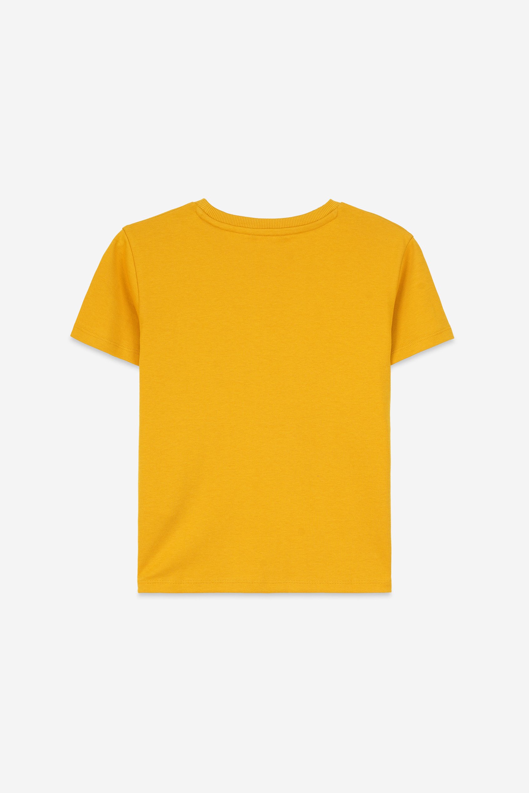 Boys Falls Flyers T-Shirt ( 3yrs-9yrs)