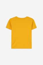 Boys Falls Flyers T-Shirt ( 3yrs-9yrs)