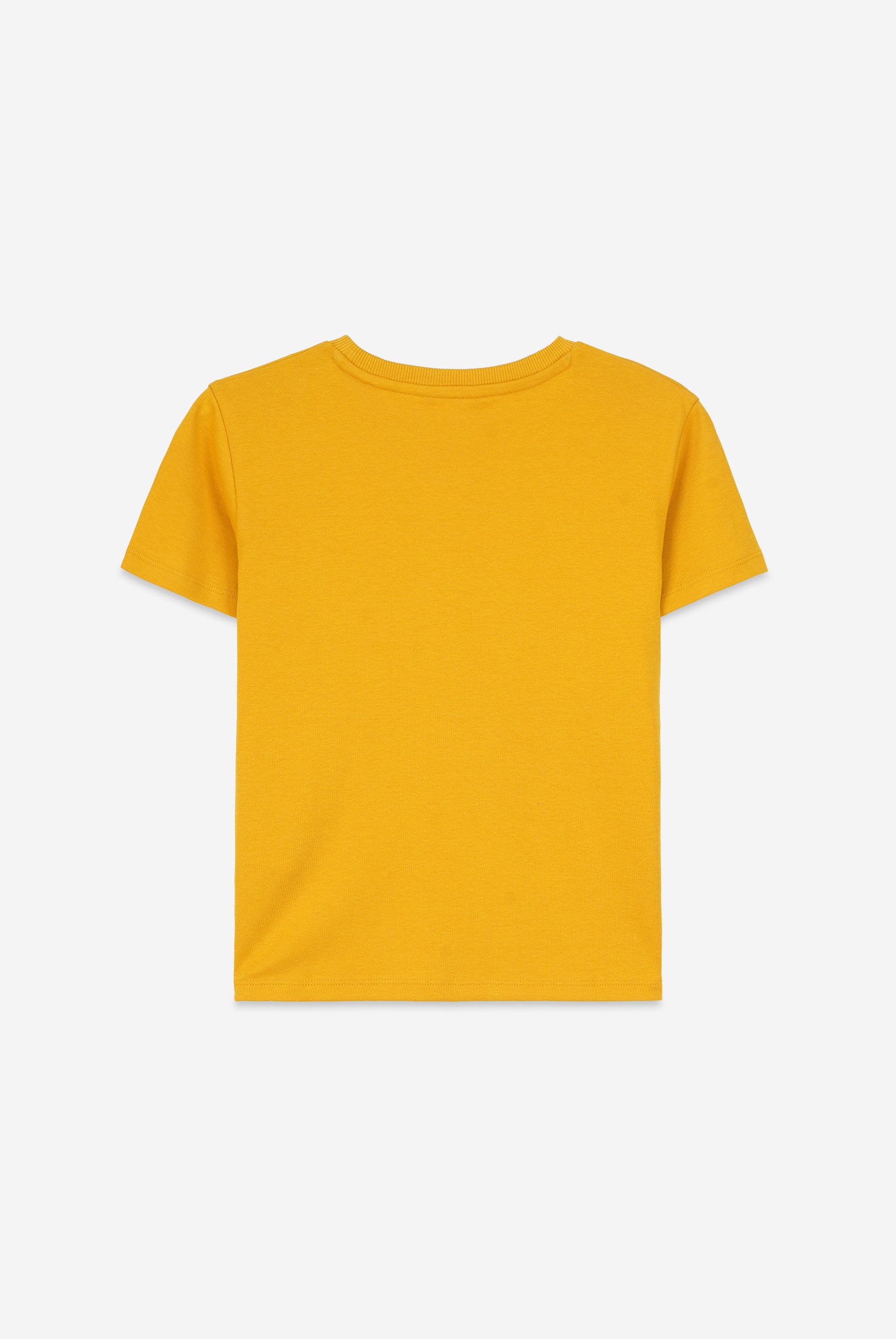 Boys Falls Flyers T-Shirt ( 3yrs-9yrs)