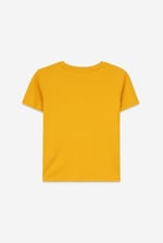 Boys Falls Flyers T-Shirt ( 3yrs-9yrs)