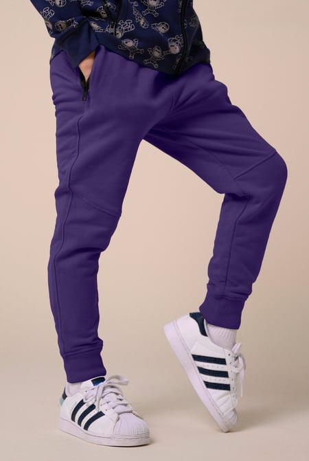 Boys Purple Cut & Sew Jogger ( 6yrs-11yrs)