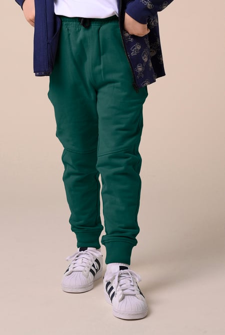 Boys Purple Cut & Sew Jogger ( 6yrs-11yrs)