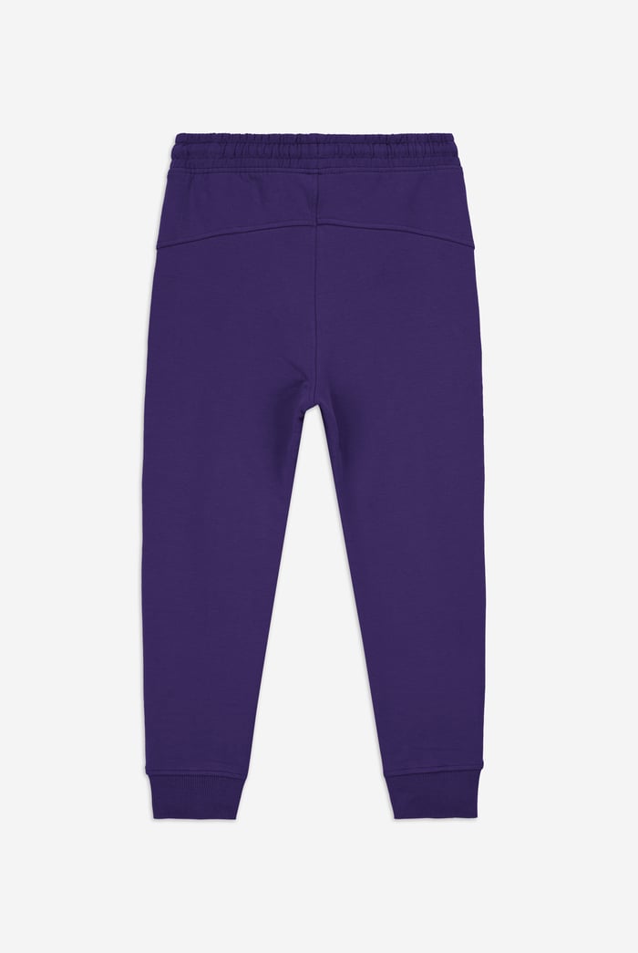 Boys Cut & Sew Jogger ( 6yrs-11yrs)