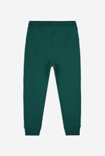 Boys Cut & Sew Jogger ( 6yrs-11yrs)