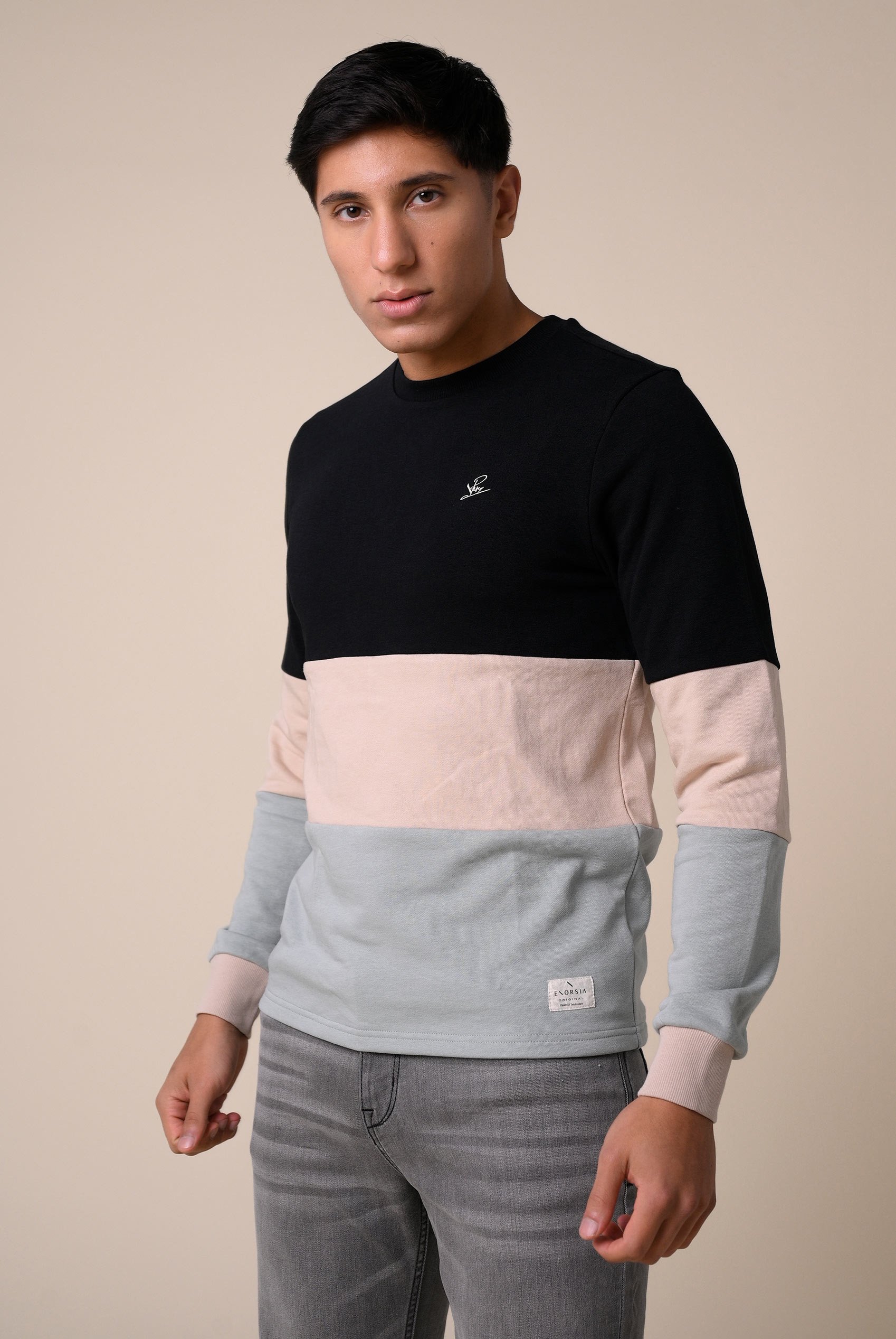 Long Sleeve Colourblock Sweatshirts