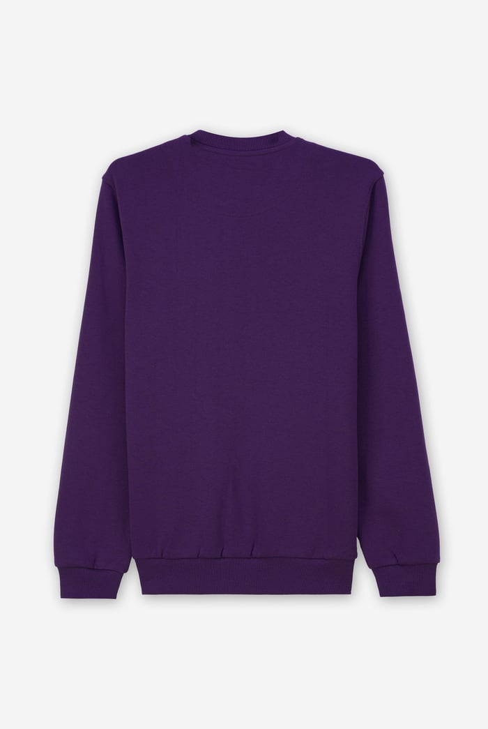 Mens Hibernation Sweatshirt