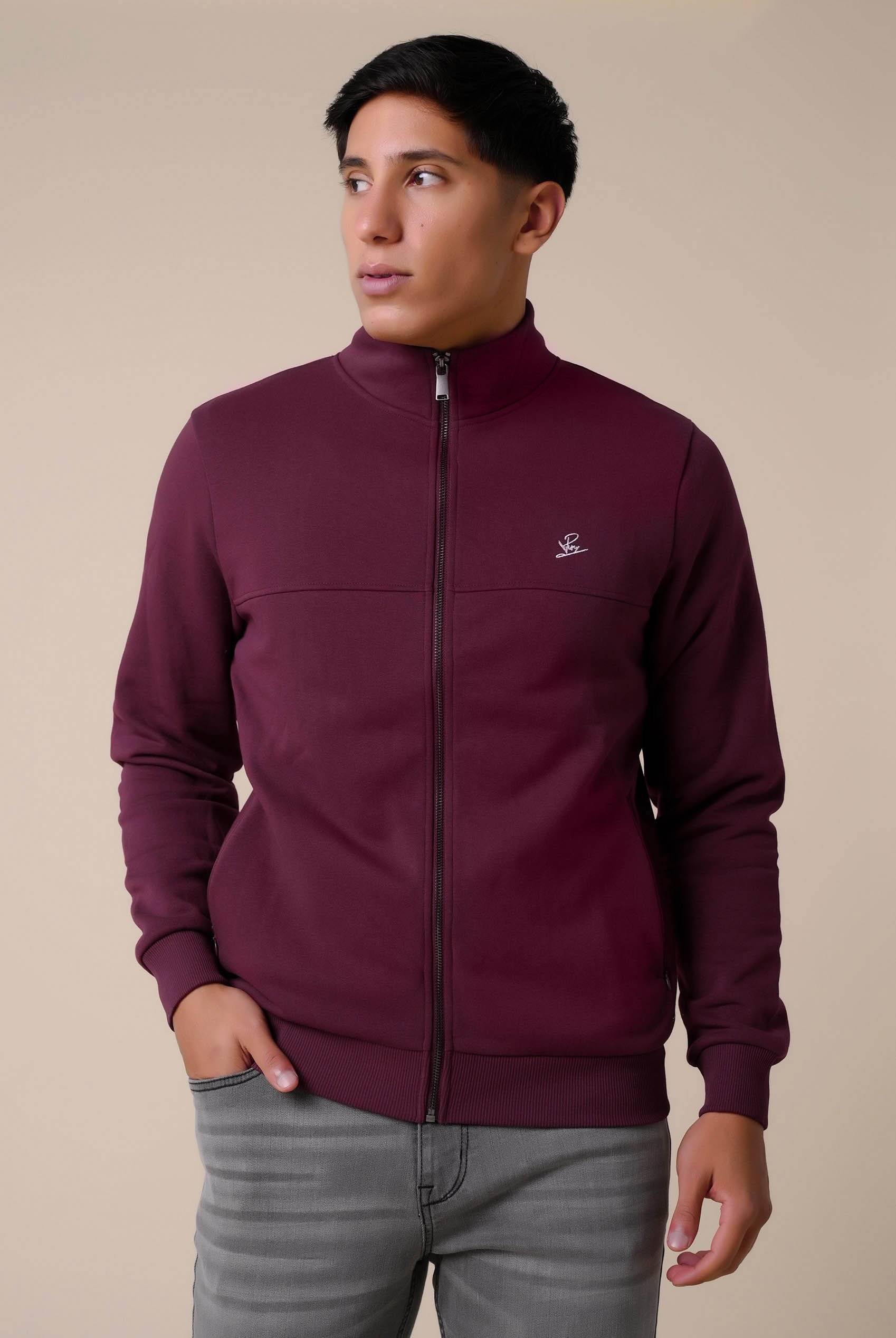 Mens Zip-Up Mock Neck Sweatshirt