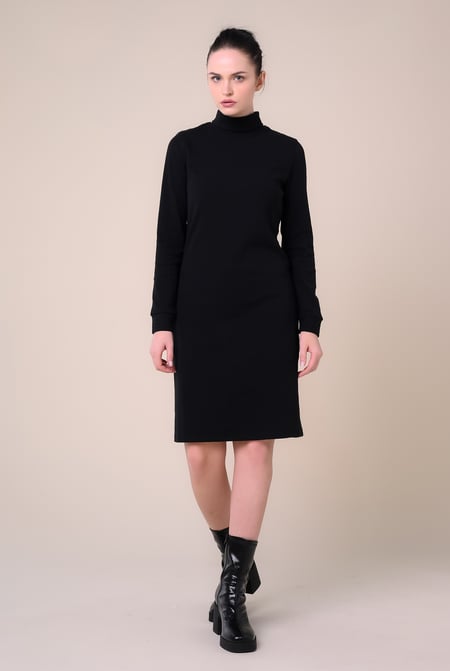Black Ribbed Roll Neck Long Sleeve Mini Dress