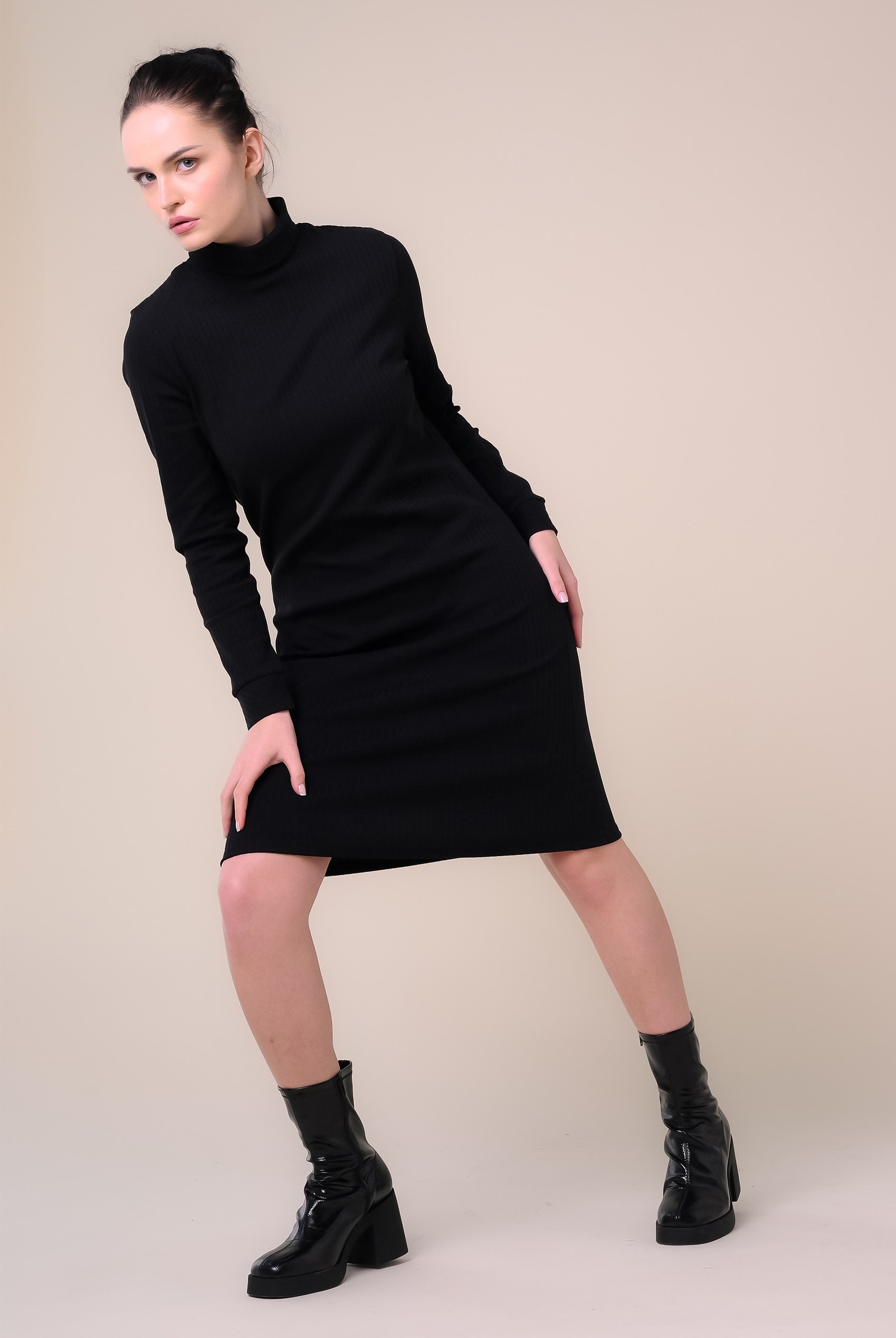 Ribbed Roll Neck Long Sleeve Mini Dress