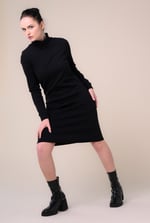 Ribbed Roll Neck Long Sleeve Mini Dress