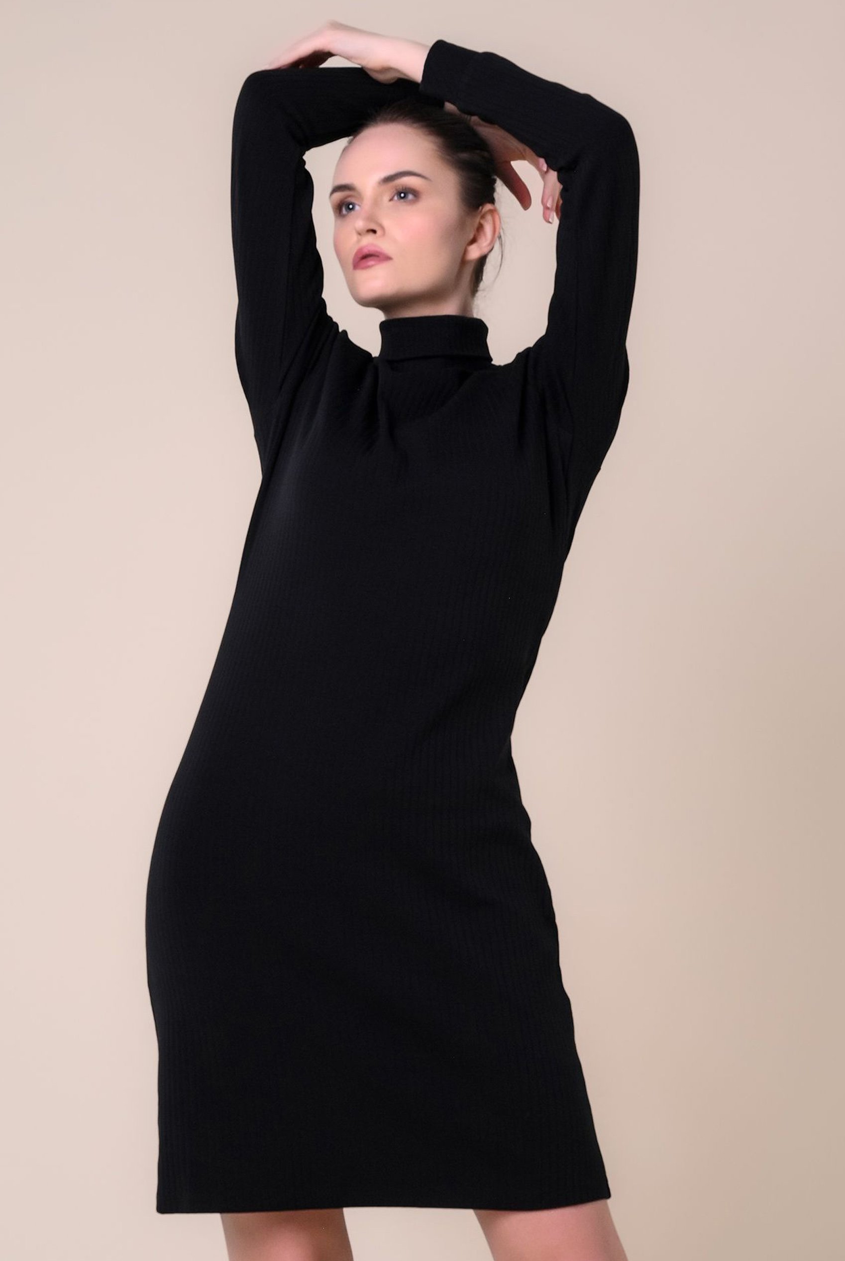 Ribbed Roll Neck Long Sleeve Mini Dress