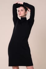 Ribbed Roll Neck Long Sleeve Mini Dress