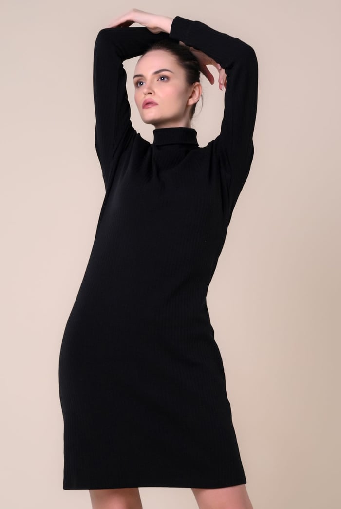 Ribbed Roll Neck Long Sleeve Mini Dress