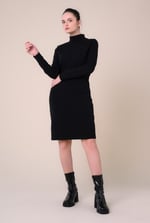 Ribbed Roll Neck Long Sleeve Mini Dress