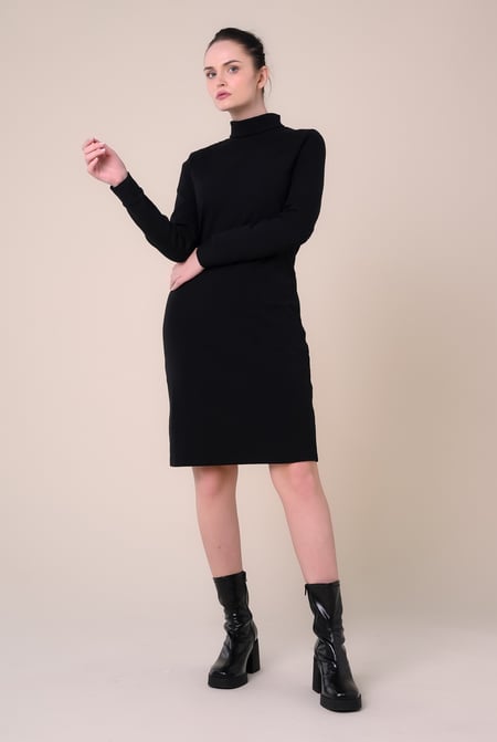 Black Ribbed Roll Neck Long Sleeve Mini Dress