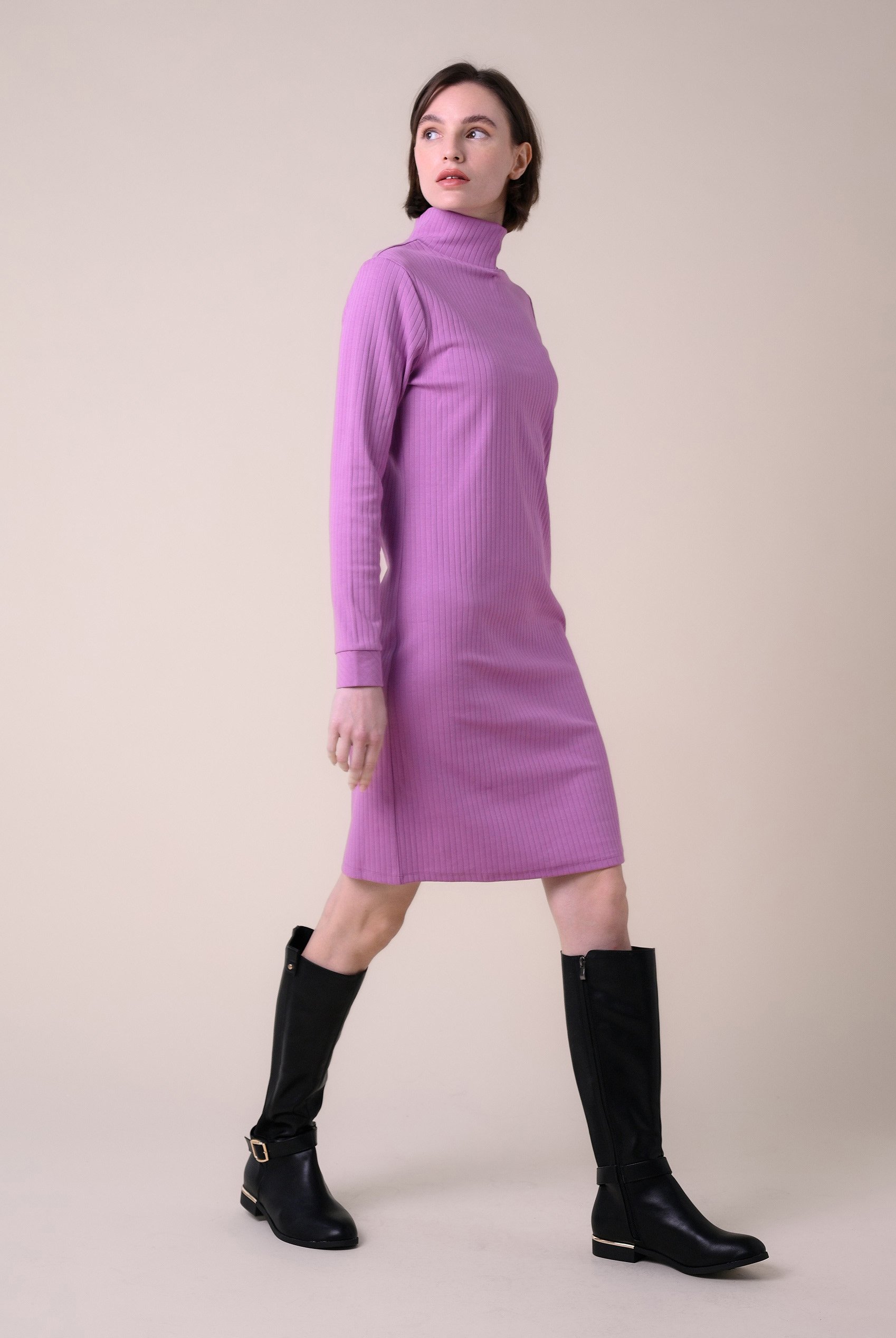 Ribbed Roll Neck Long Sleeve Mini Dress