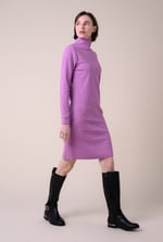 Ribbed Roll Neck Long Sleeve Mini Dress
