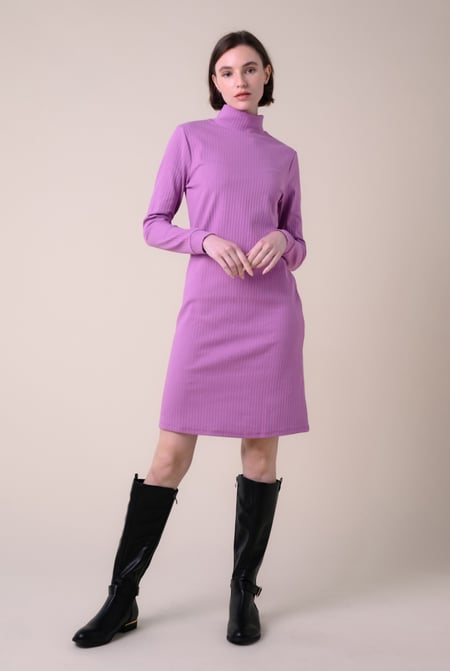 Ribbed Roll Neck Long Sleeve Mini Dress