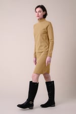 Ribbed Roll Neck Long Sleeve Mini Dress