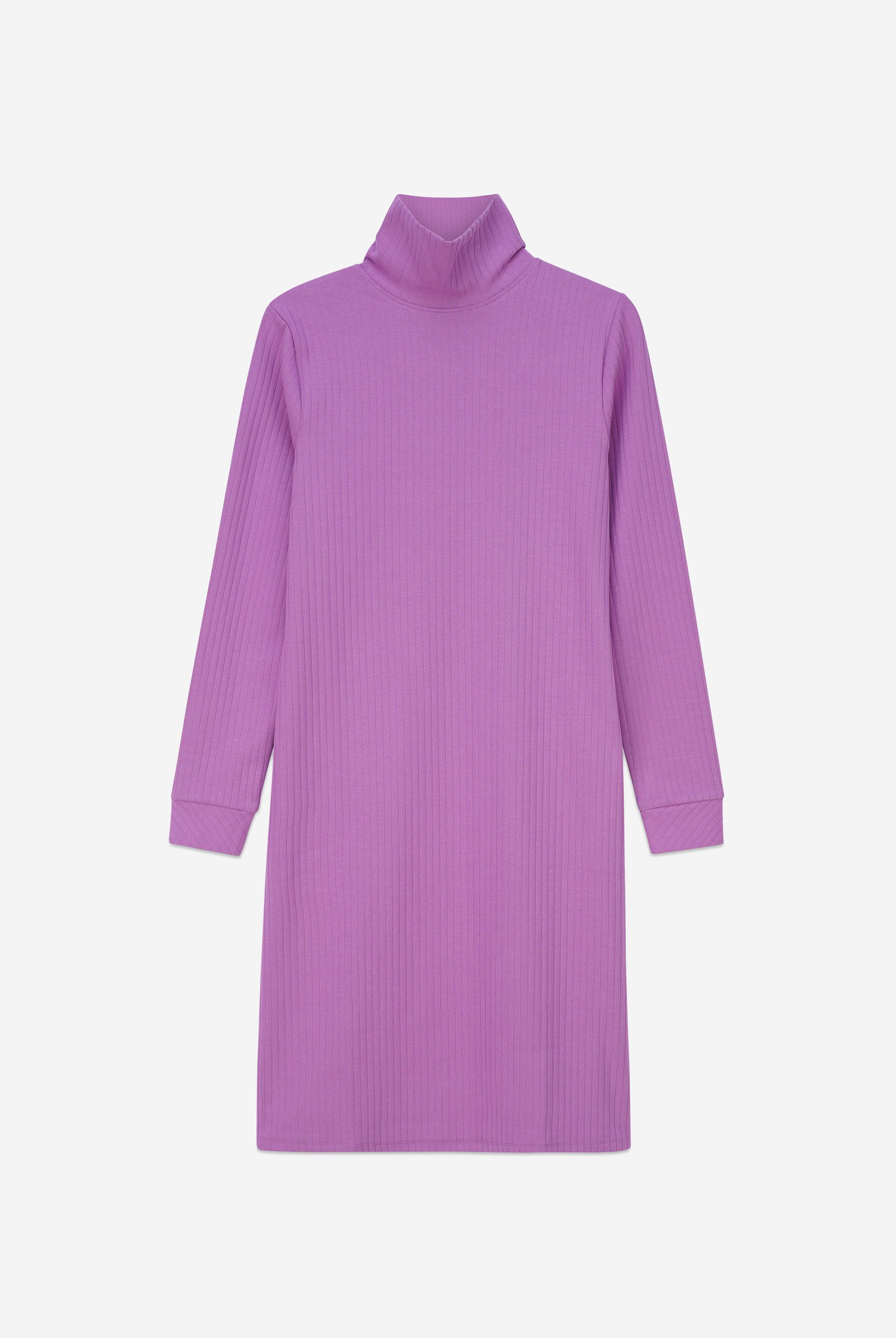 Ribbed Roll Neck Long Sleeve Mini Dress