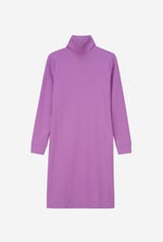 Ribbed Roll Neck Long Sleeve Mini Dress