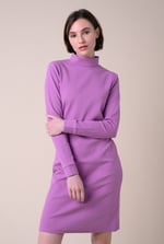 Ribbed Roll Neck Long Sleeve Mini Dress