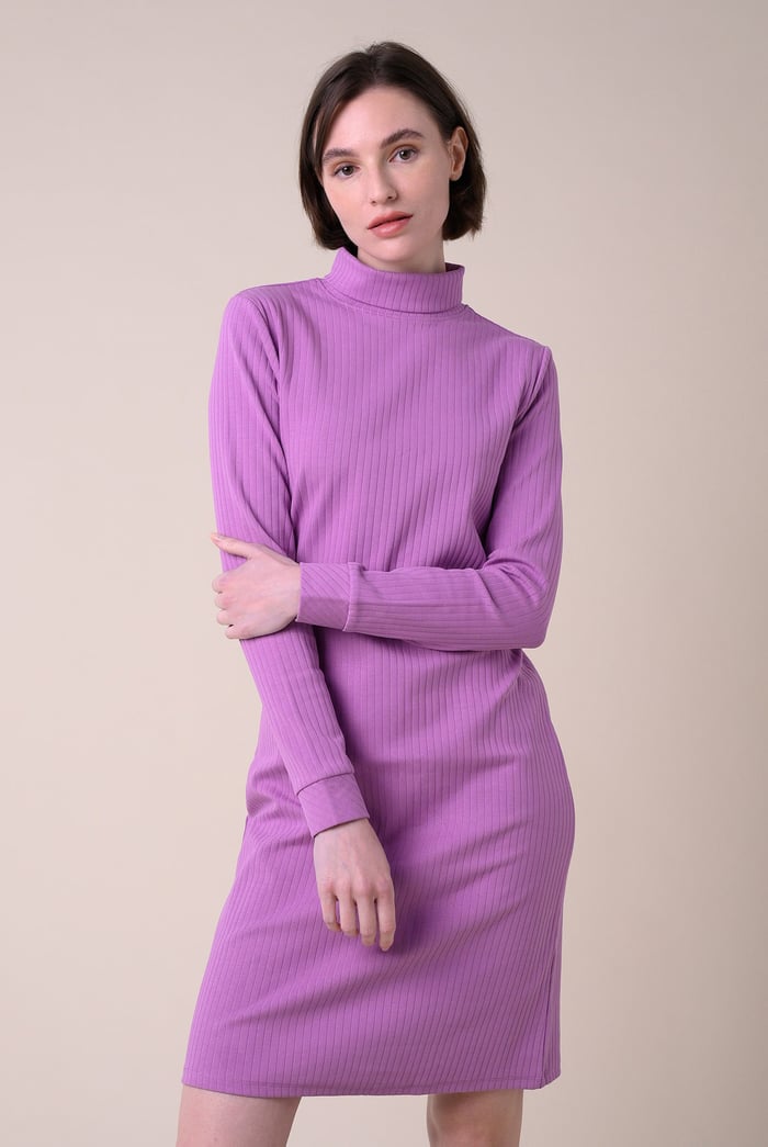 Ribbed Roll Neck Long Sleeve Mini Dress
