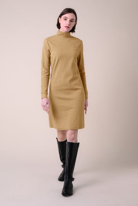 Black Ribbed Roll Neck Long Sleeve Mini Dress