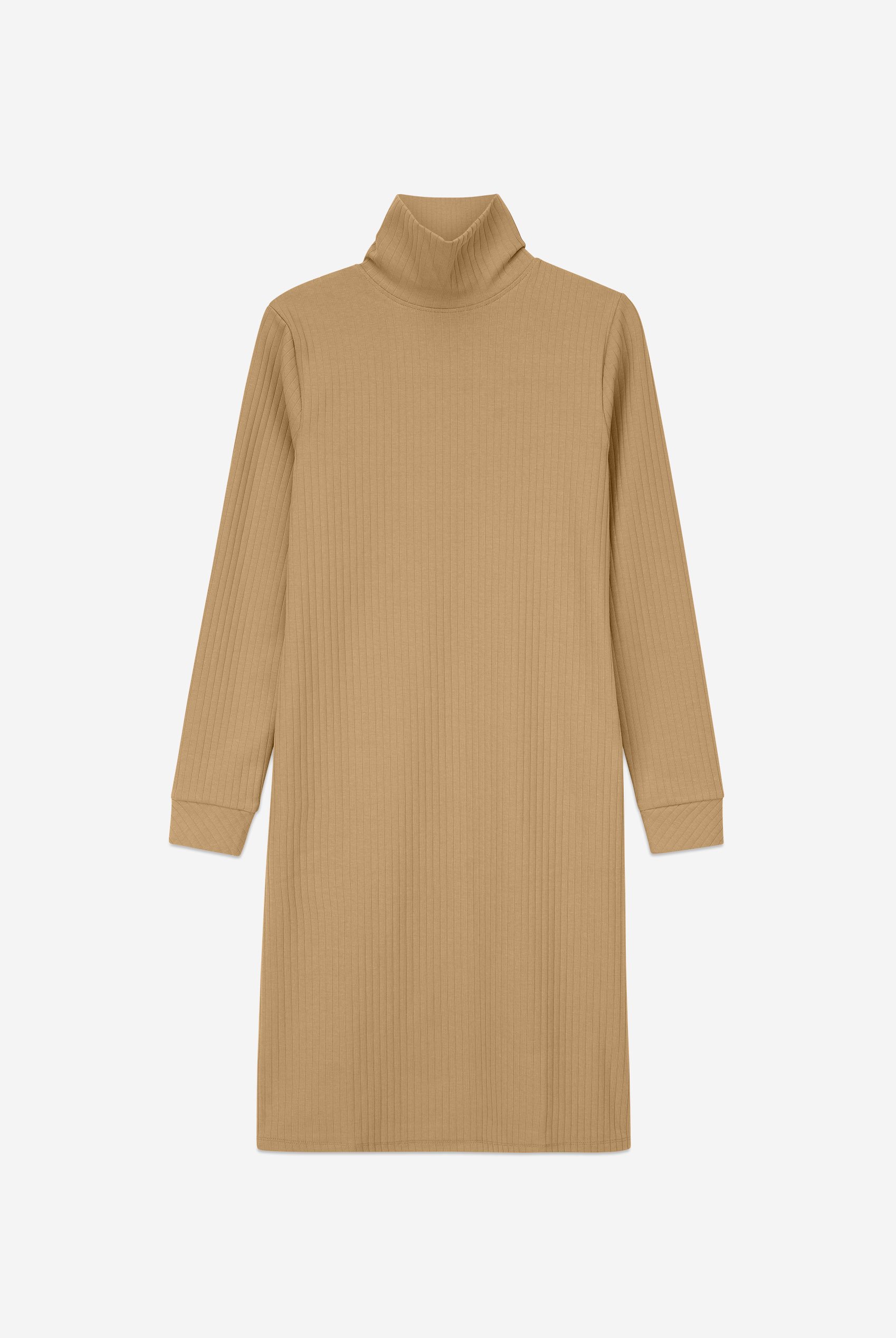 Ribbed Roll Neck Long Sleeve Mini Dress