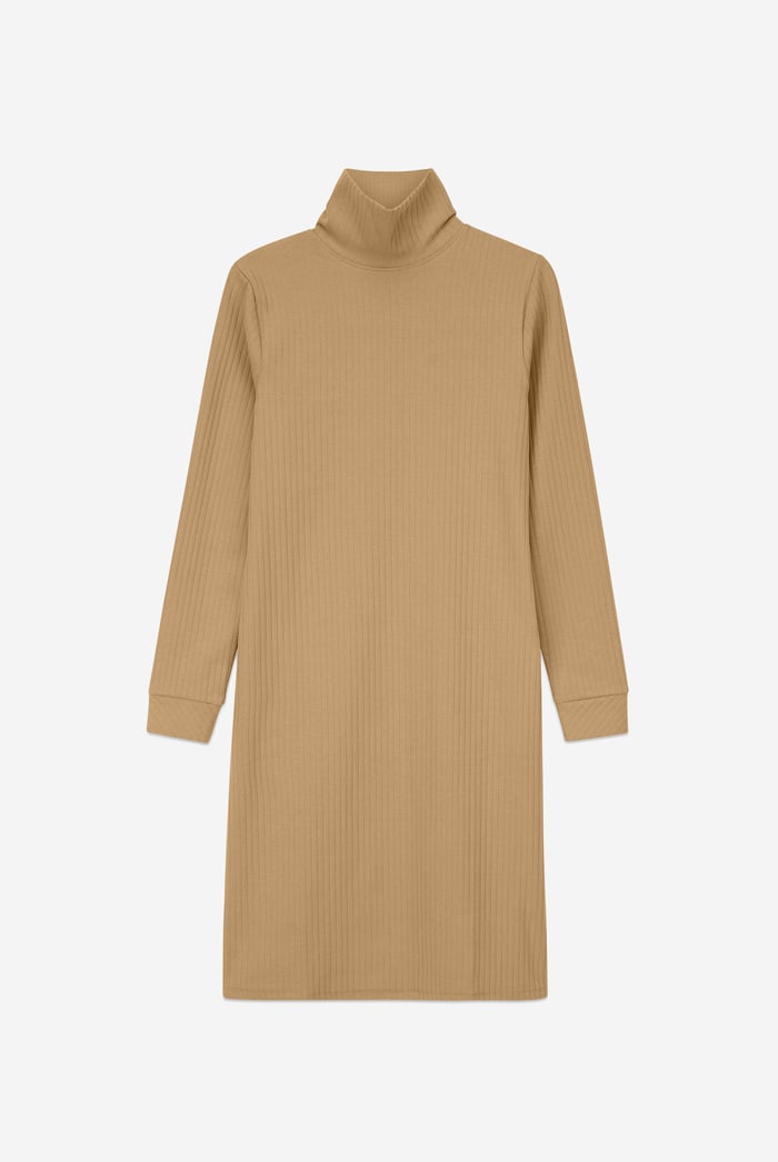 Ribbed Roll Neck Long Sleeve Mini Dress