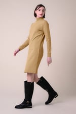 Ribbed Roll Neck Long Sleeve Mini Dress