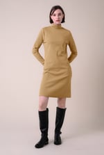 Ribbed Roll Neck Long Sleeve Mini Dress