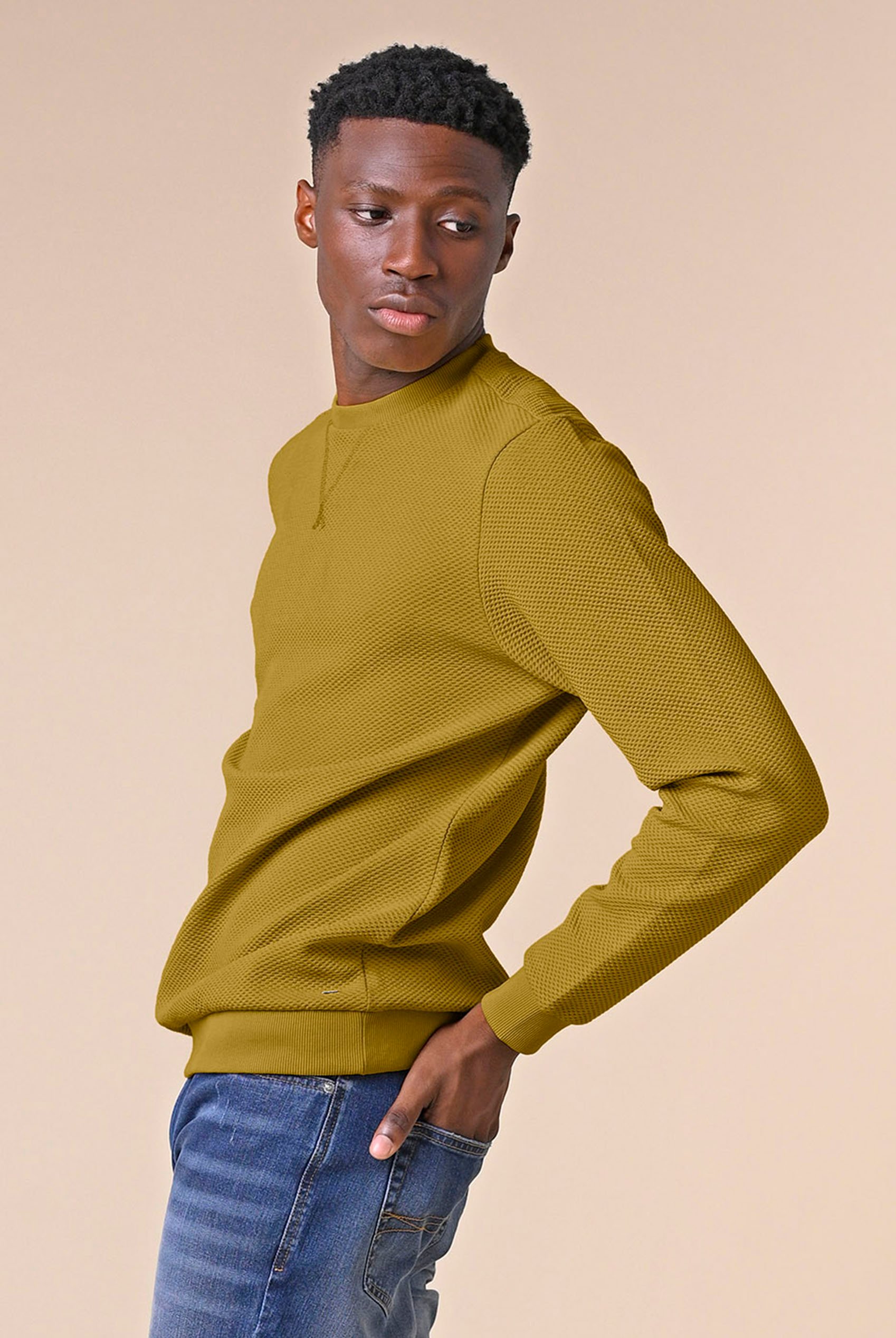 Mens Crew Neck Design Rib Sweatshirt