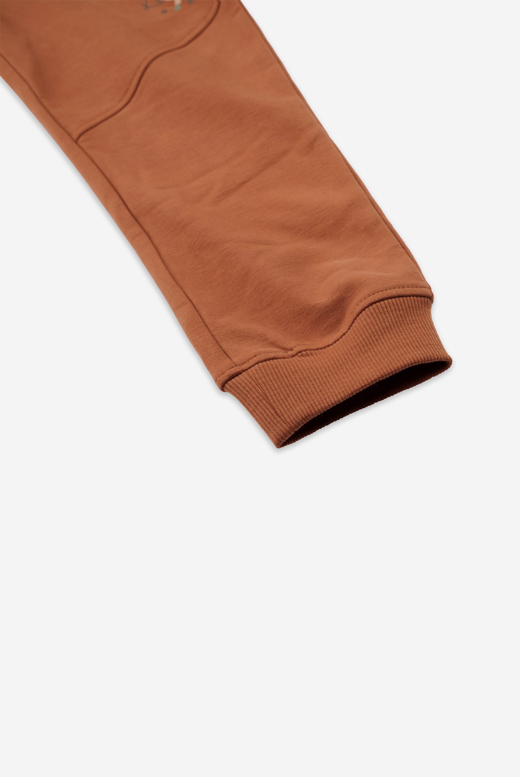 Boys Roar Dino Jogger ( 3yrs-9yrs)