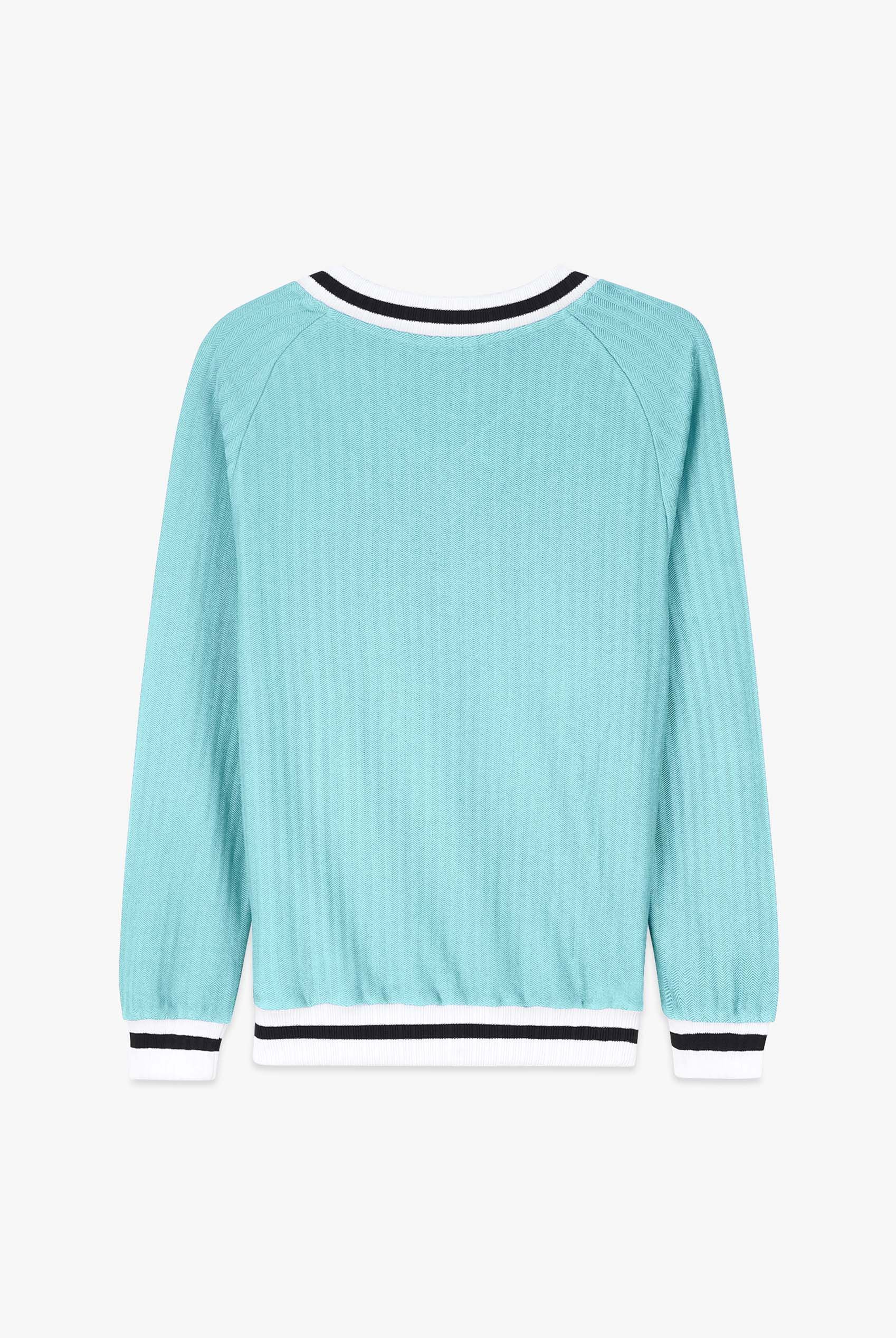 Womens V-Neck Stripe Detail Pullover