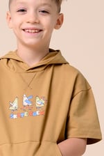 Boys Skate Crew Hoodie ( 3yrs-9yrs)