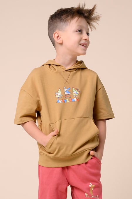 Boys Brown Skate Crew Hoodie ( 3yrs-9yrs)
