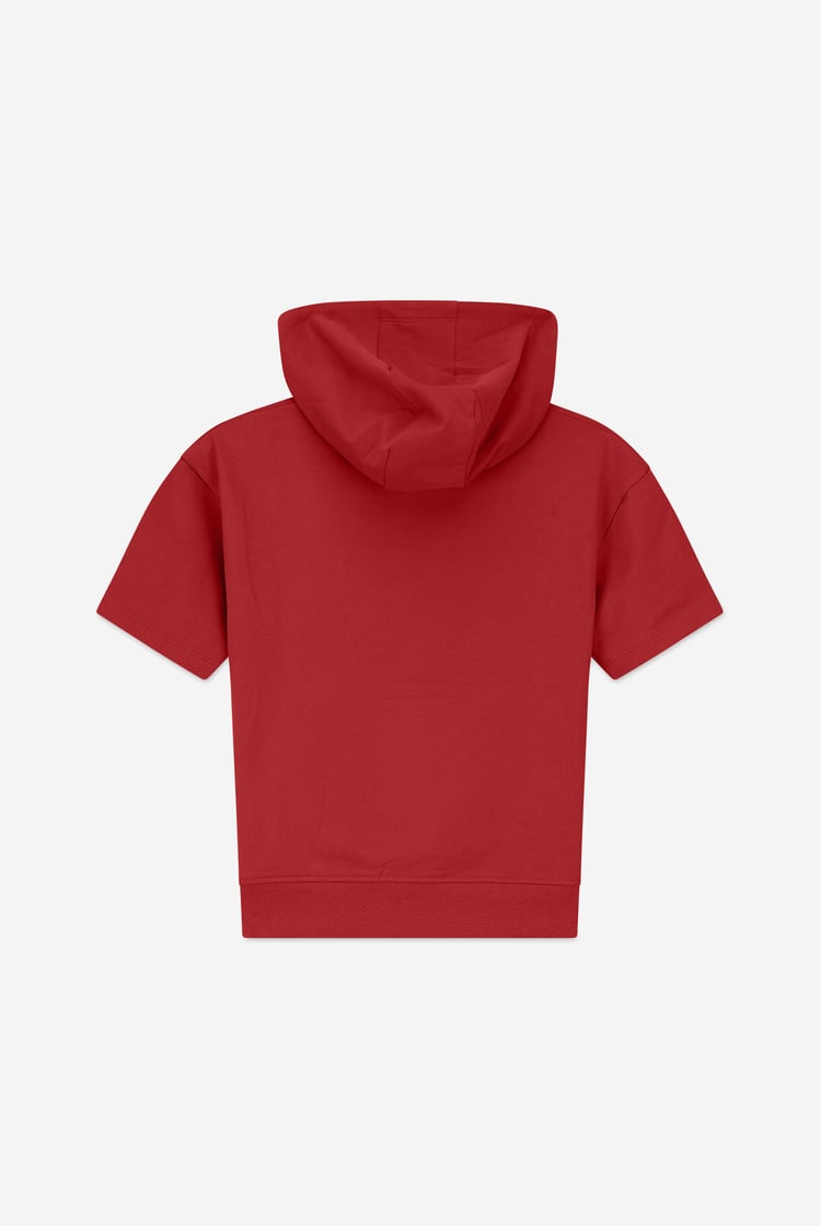 Boys Skate Crew Hoodie ( 3yrs-9yrs)