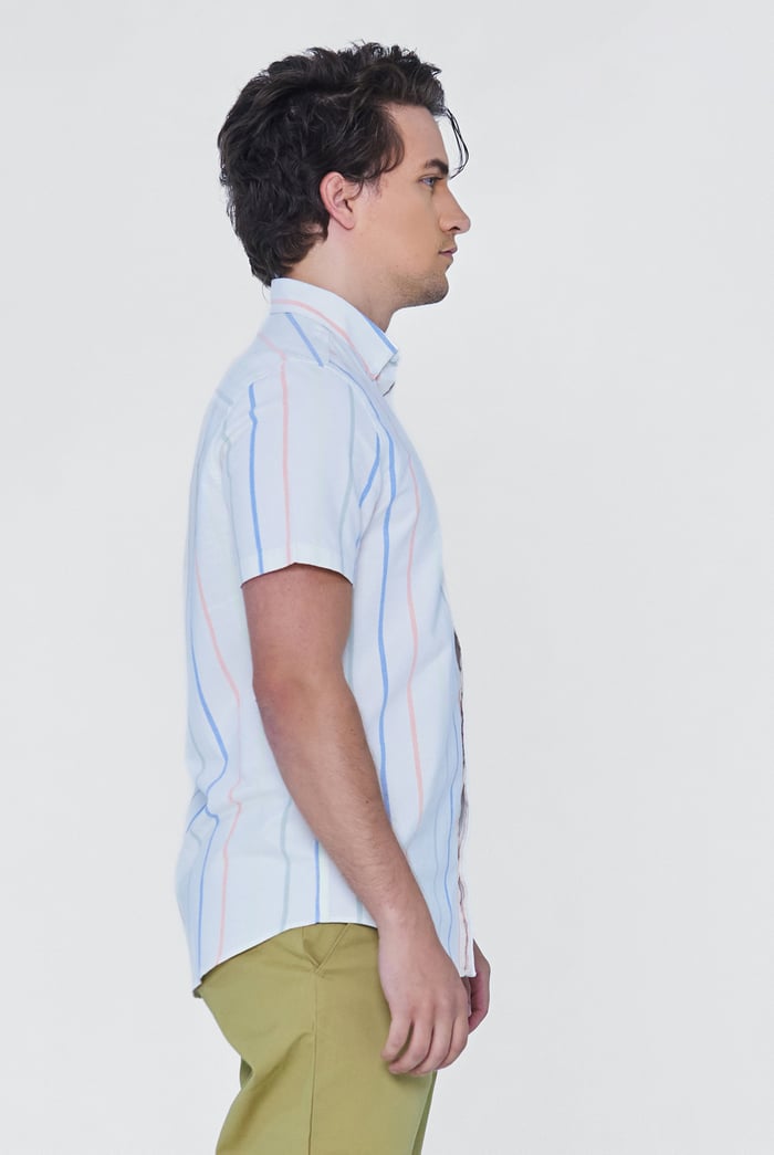 Stripe Short Sleeve Oxfrod Shirt