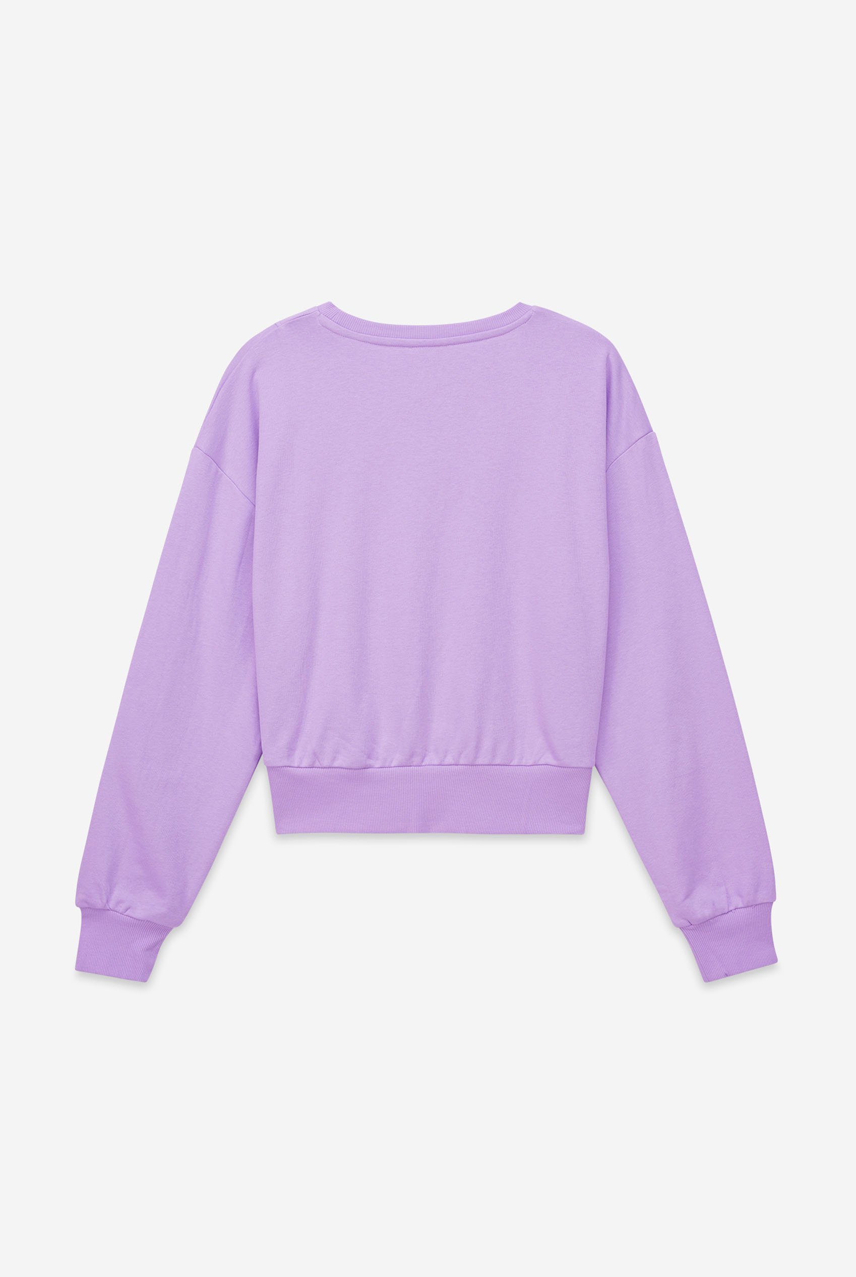 Womens Crop Top Sweatshirt