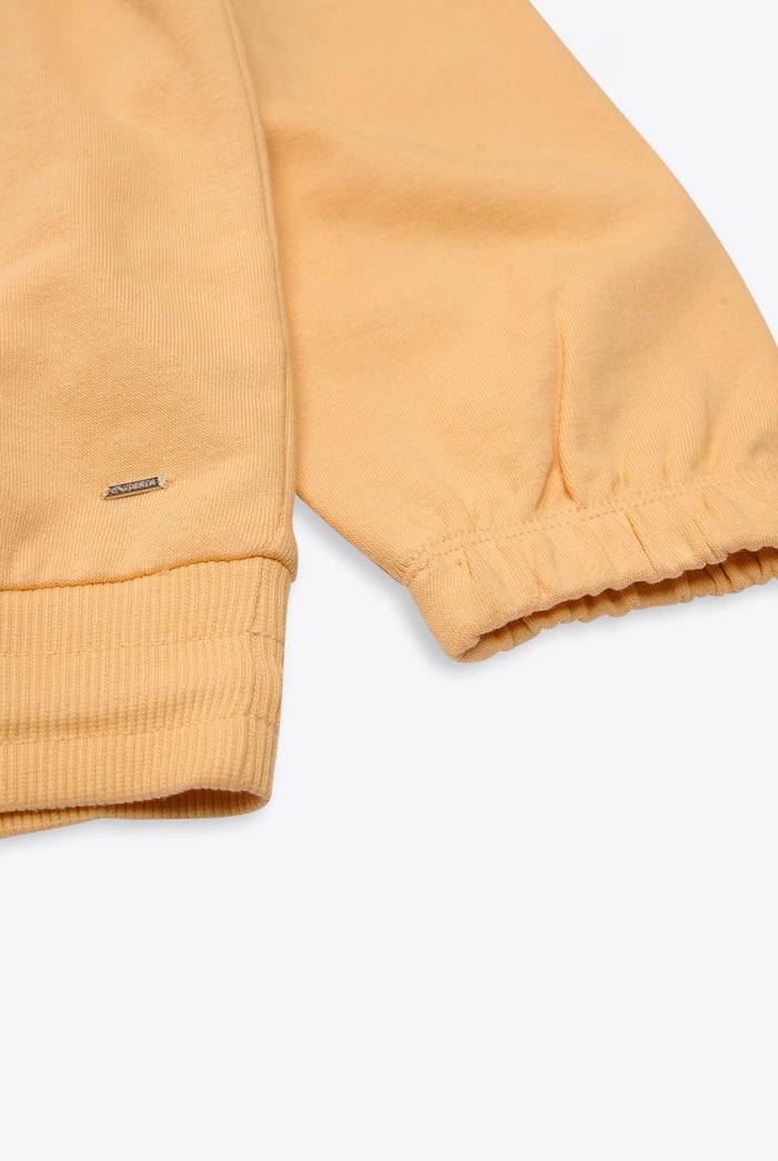 Half Zip High Neck Embroidery Sweatshirt