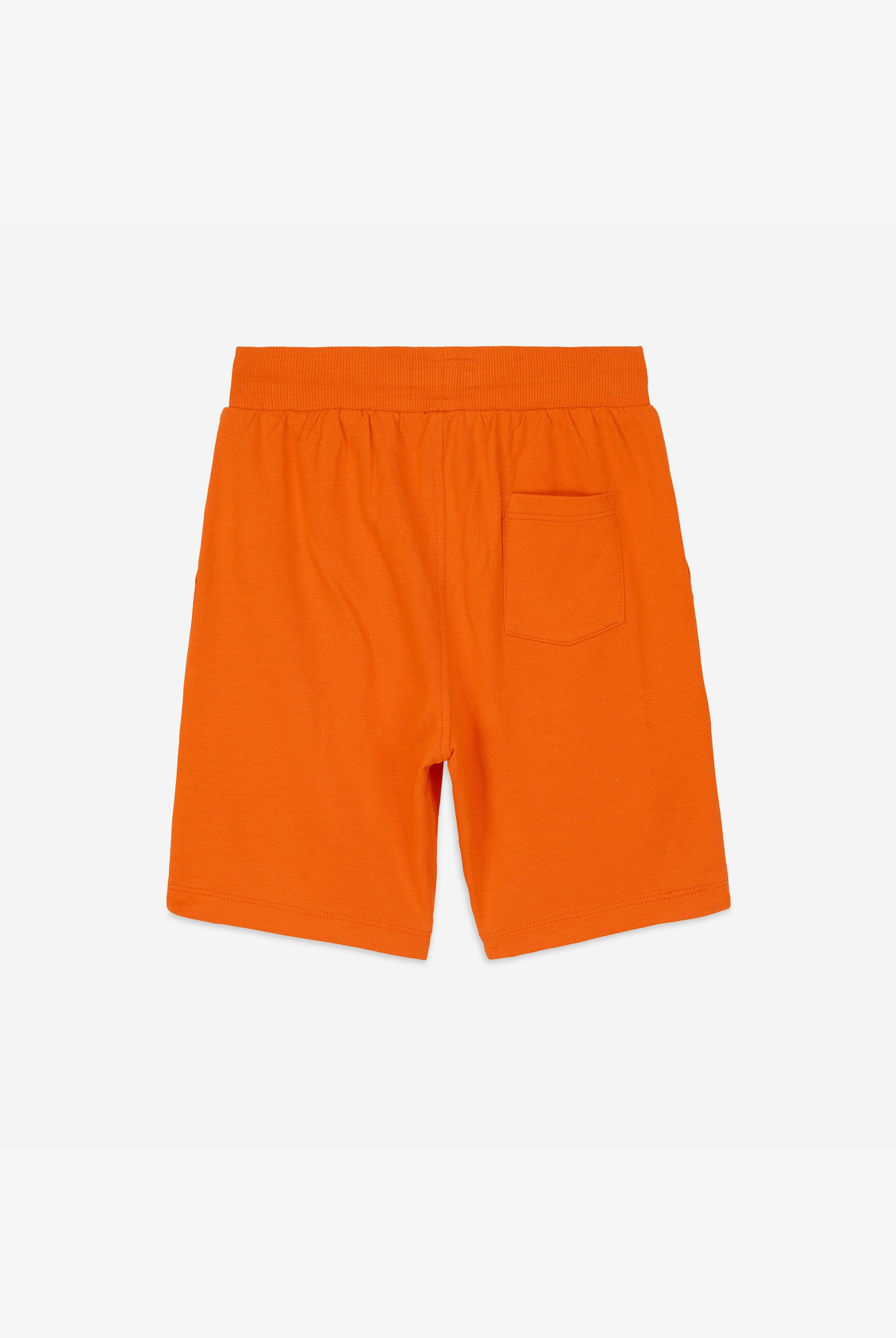 Boys Essential Jersey Shorts (12/18mths-7yrs)
